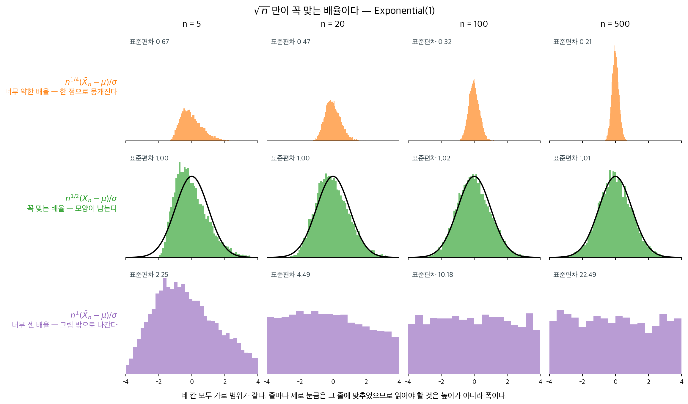 배율을 세 가지로 바꾸어 본 것