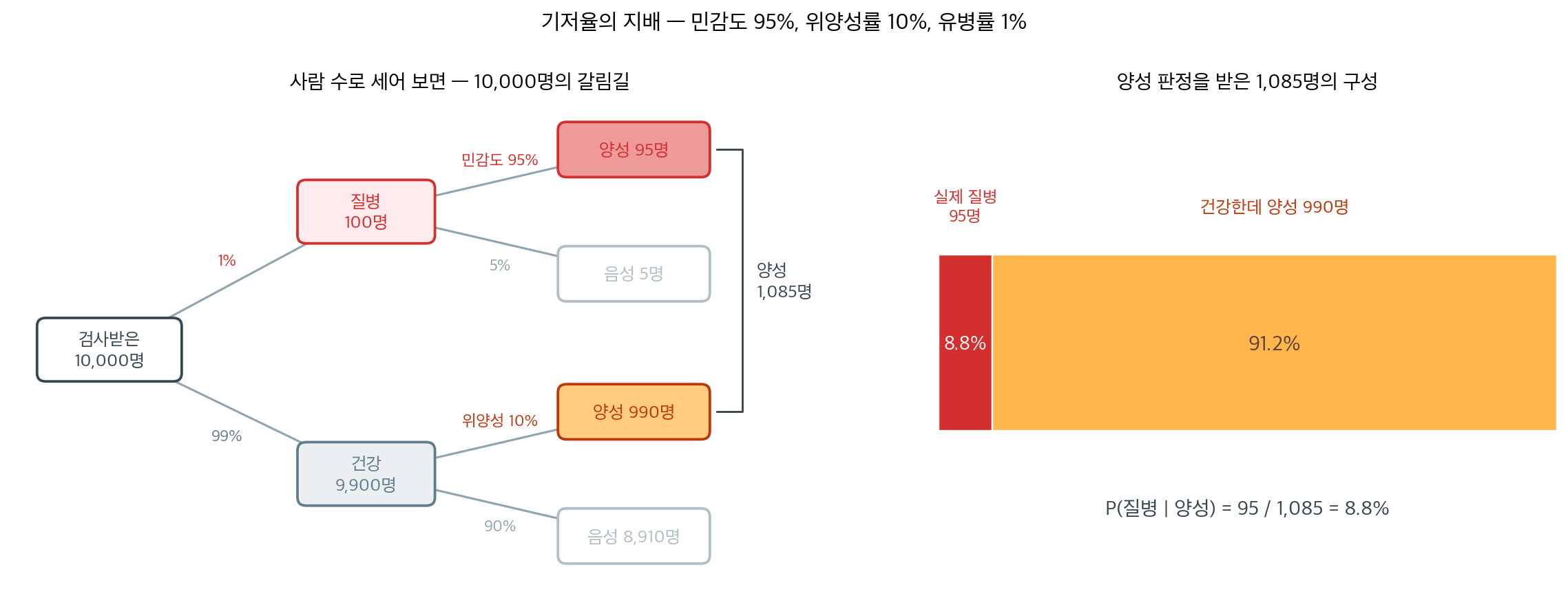 기저율의 지배 — 10,000명으로 세어 본 의학 검사