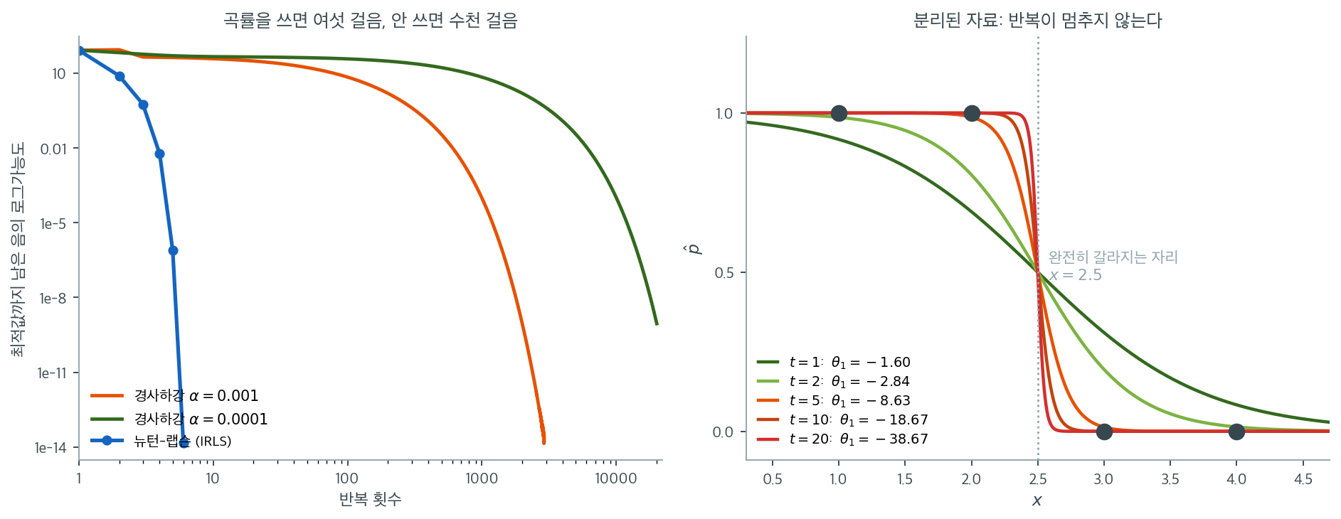 뉴턴-랩슨과 경사하강의 수렴 속도, 그리고 분리 자료에서의 발산