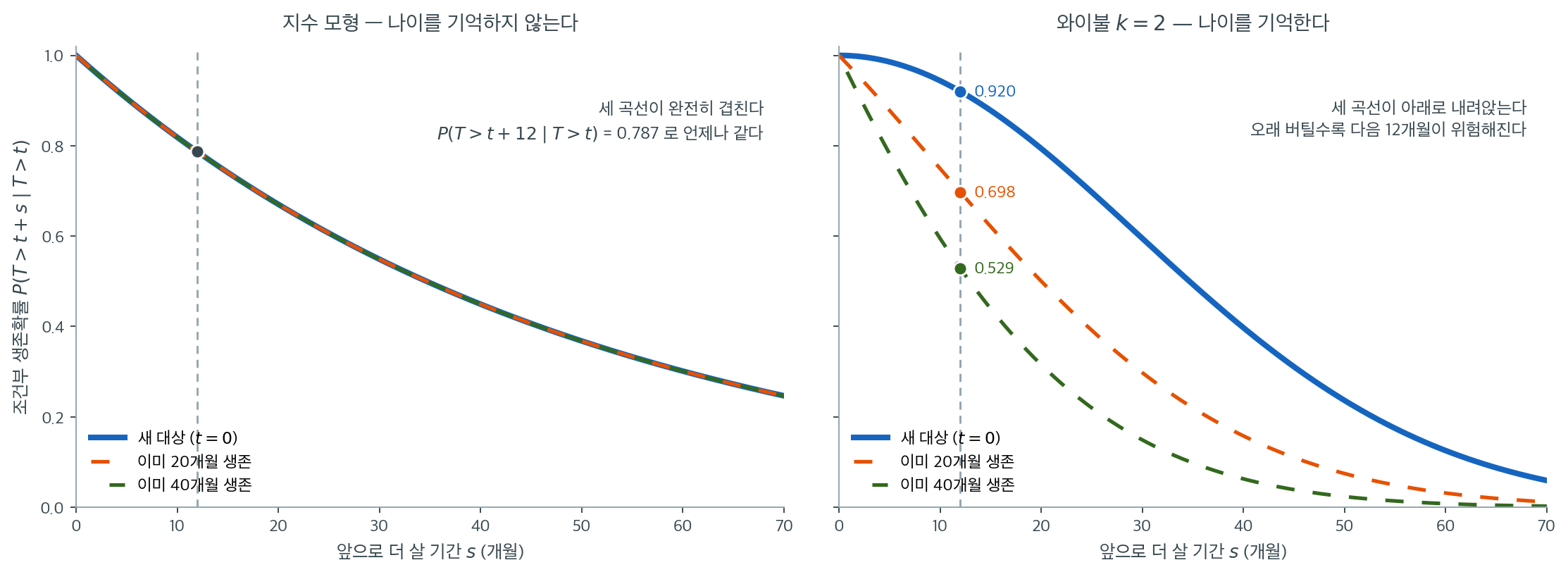 나이를 기억하지 않는 지수 모형과 나이를 기억하는 와이불 모형