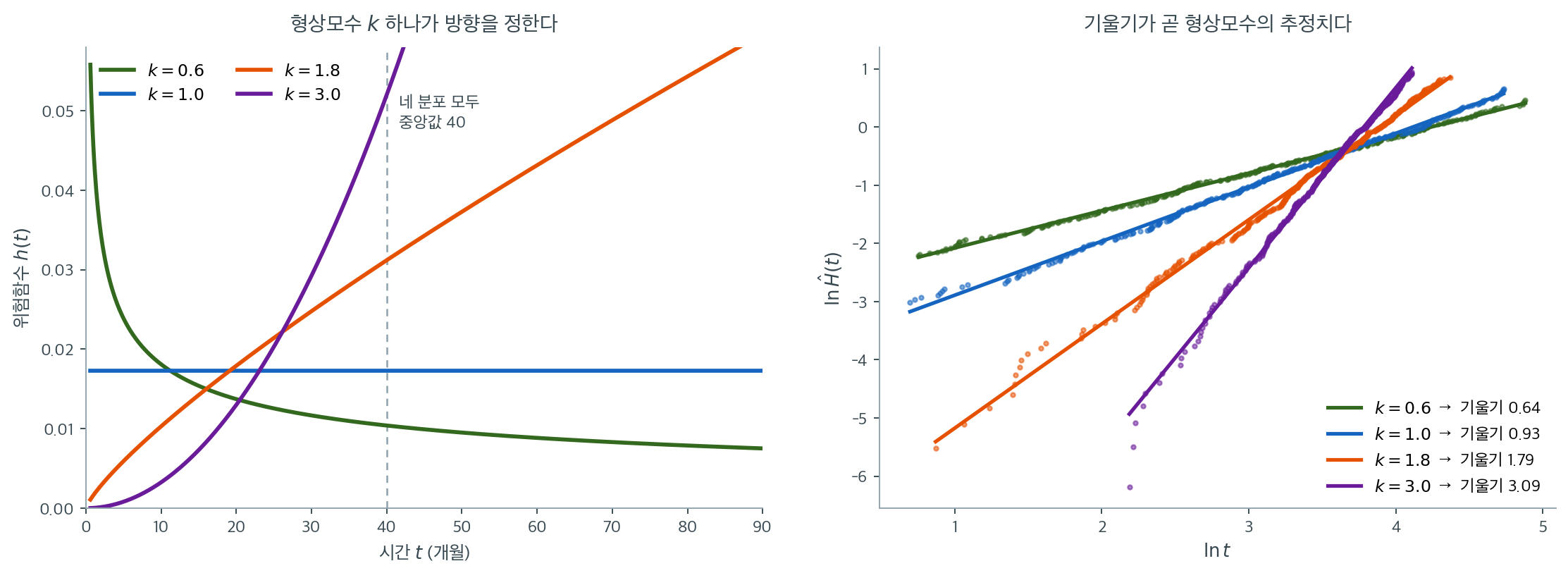 네 형상모수의 위험함수와 로그-로그 그림의 기울기